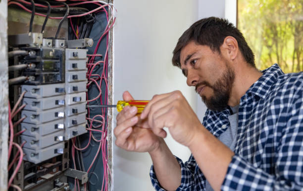 Best Industrial Electrical Services  in Bass Lake, IN